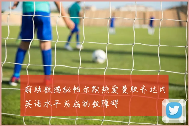 前助教揭秘帕尔默热爱曼联齐达内英语水平或成执教障碍