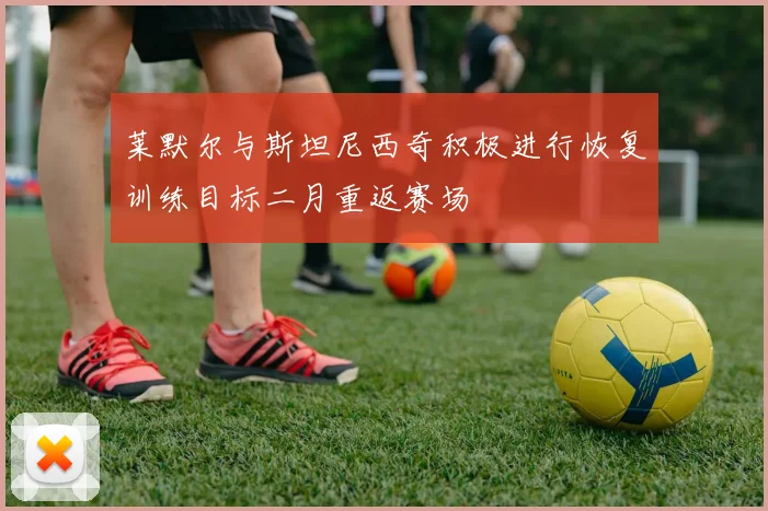 莱默尔与斯坦尼西奇积极进行恢复训练目标二月重返赛场